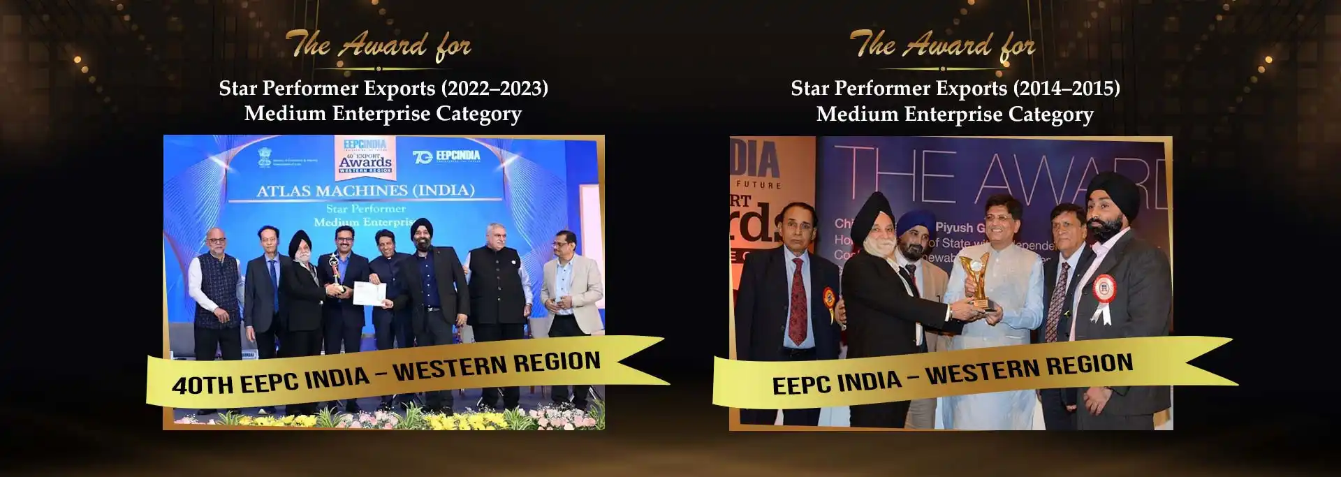 The Award For Star Performer Exports in 